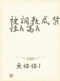 被调教成禁脔双性h高h