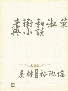 老卫和淑荣的经典小说封面