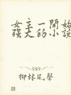 女主一开始就很强大的小说