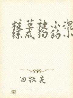 校草被小混混训练成狗的小说