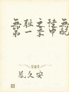 无耻之徒无删减第一季中配版