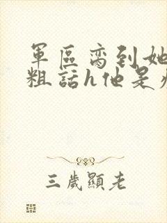 军区脔到她哭h粗话h他是疯批