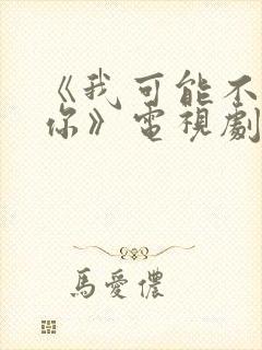 《我可能不会爱你》电视剧