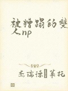 被糟蹋的双性美人np封面