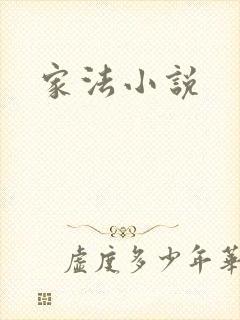 家法小说封面