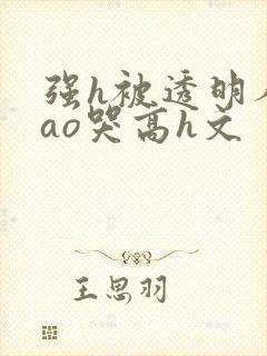 强h被透明人cao哭高h文