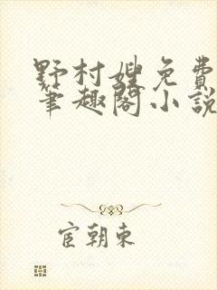 野村嫂免费阅读笔趣阁小说封面