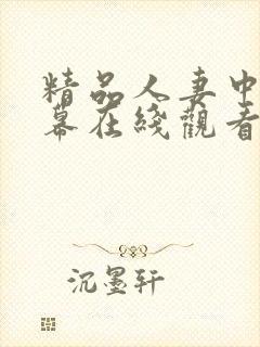 精品人妻中文字幕在线观看