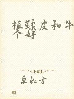 植鞣皮和牛皮哪个好