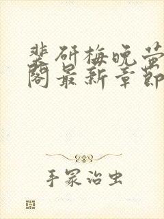 裴研梅晚萤笔趣阁最新章节更新封面