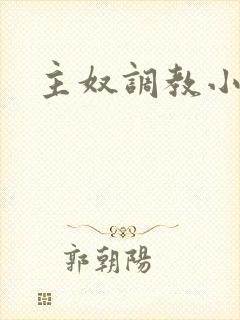 主奴调教小说封面