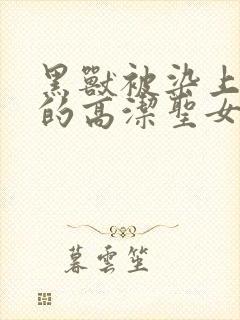 黑兽被染上白浊的高洁圣女封面