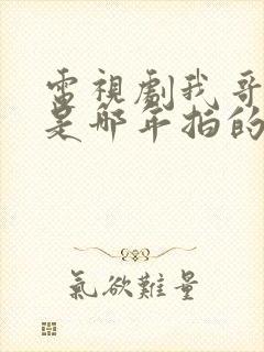 电视剧我哥我嫂是哪年拍的