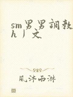 sm男男调教〈h丿文