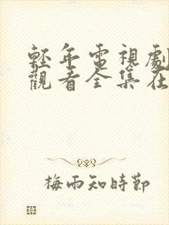 轻年电视剧免费观看全集在线播放高清封面