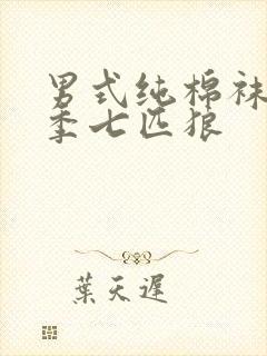 男式纯棉袜子冬季七匹狼