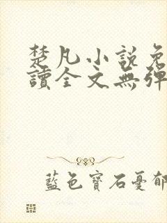 楚凡小说免费阅读全文无弹窗