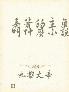 秦萧的主角名字叫什么小说