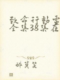 致命行动电视剧全集38集在线观看