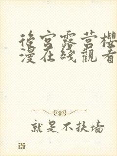 后宫露营樱花动漫在线观看封面