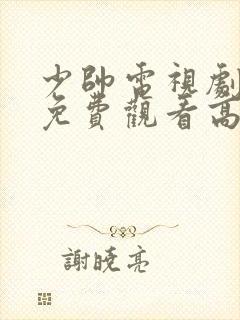 少帅电视剧全集免费观看高清在线观看封面