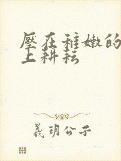 压在稚嫩的身体上耕耘