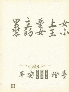 男主爱上女扮男装的女主小说封面