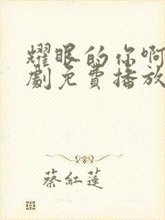 耀眼的你啊电视剧免费播放全集