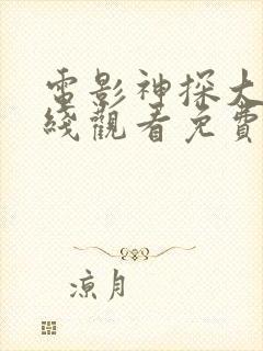 电影神探大战在线观看免费高清