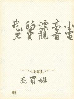 我的漂亮小后妈免费观看电视剧封面