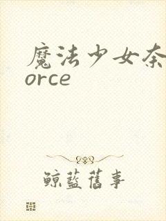 魔法少女奈叶force封面