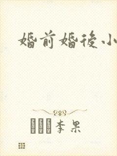 婚前婚后小说封面