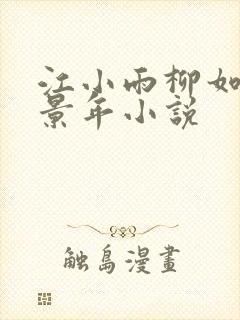 江小雨柳如烟陆景年小说