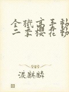 全职高手动漫第二季樱花动漫