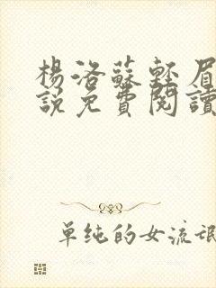 杨洛苏轻眉笔小说免费阅读封面