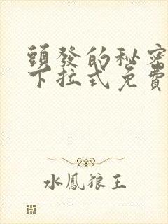 头发的秘密漫画下拉式免费观看封面