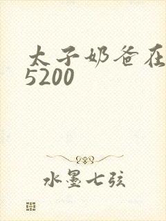 太子奶爸在花都5200封面