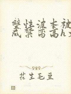 双性波本被调教成禁脔高h文