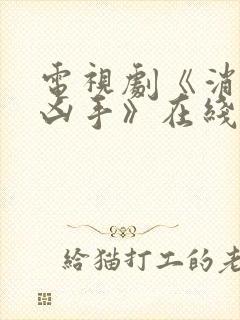 电视剧《消失的凶手》在线观看