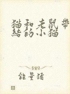 猫和老鼠带蝴蝶结的小猫