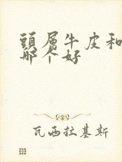 头层牛皮和真皮哪个好