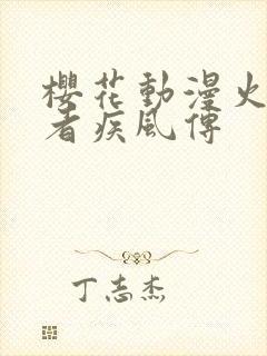 樱花动漫火影忍者疾风传