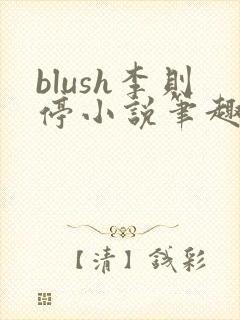 blush李则停小说笔趣阁