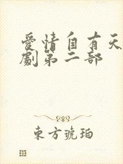 爱情自有天意短剧第二部