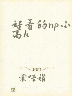 好看的np小说高h封面