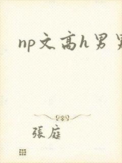 np文高h男男