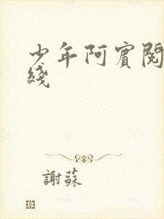 少年阿宾阅读在线