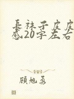 长袜子皮皮读后感20字左右封面