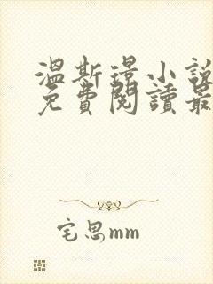 温斯璟小说全文免费阅读最新章节