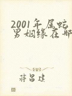 2001年属蛇男姻缘在哪年